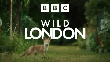 Задник к фильму "Wild London" #540338