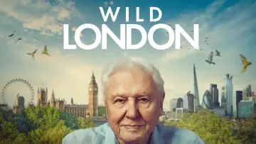 Задник к фильму "Wild London" #861329