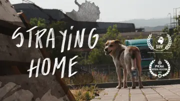 Задник к фильму "Straying home" #968889