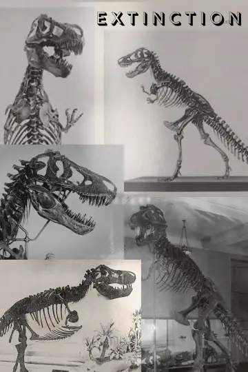 Extinction постер