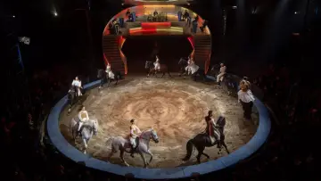 Задник к фильму "Les Folies Gruss, 50 ans à Paris" #542515