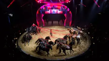 Задник к фильму "Les Folies Gruss, 50 ans à Paris" #542520