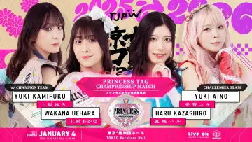 Задник к фильму "東京女子プロレス