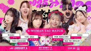 Задник к фильму "東京女子プロレス