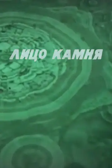 Лицо камня постер