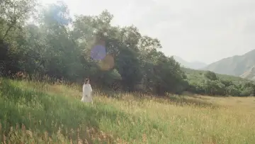 Задник к фильму "The Meadow" #773631