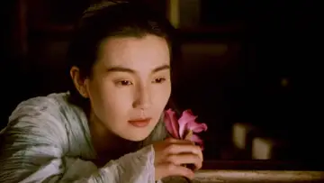 Задник к фильму "东邪西毒：终极版" #1183576
