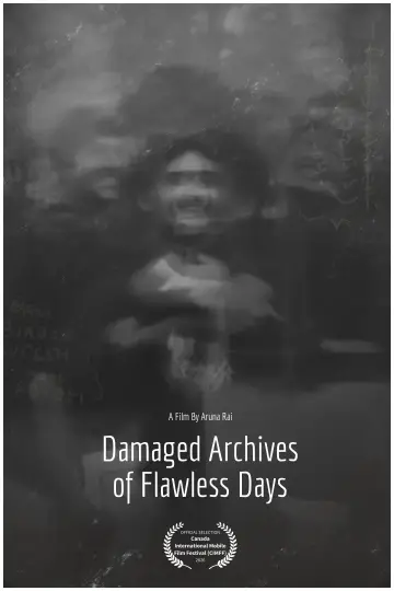Постер к фильму "Damaged Archives of Flawless Days" #1140128