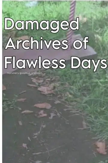 Постер к фильму "Damaged Archives of Flawless Days" #561895