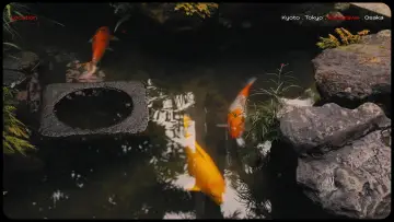Задник к фильму "Lost in Japan" #571775
