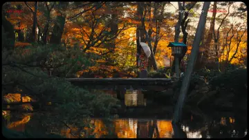 Задник к фильму "Lost in Japan" #571786