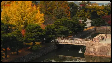 Задник к фильму "Lost in Japan" #571846