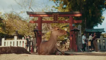 Задник к фильму "Streets of Japan" #563174