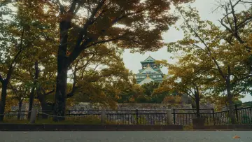 Задник к фильму "Streets of Japan" #563197