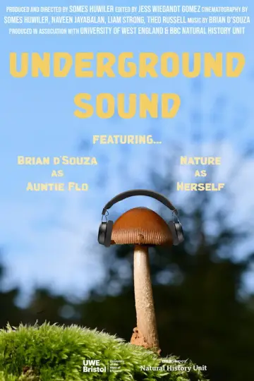 Постер к фильму "Underground Sound" #803684