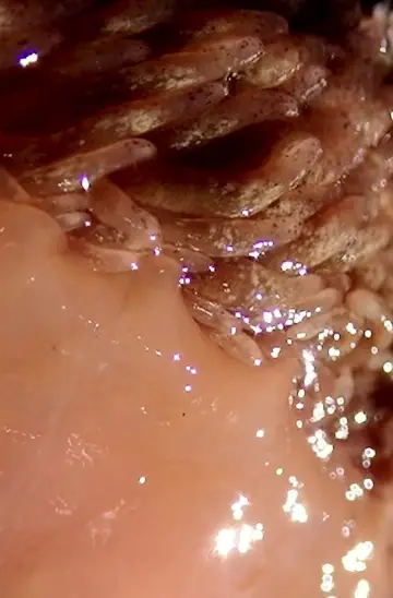 Постер к фильму "MicroPools" #559695