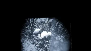 Задник к фильму "little snow" #549267