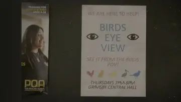 Задник к фильму "Birds Eye View" #573923
