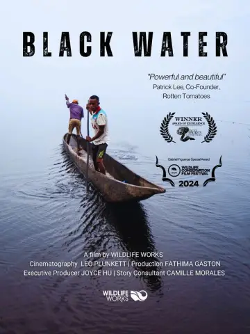 Постер к фильму "Black Water" #802699