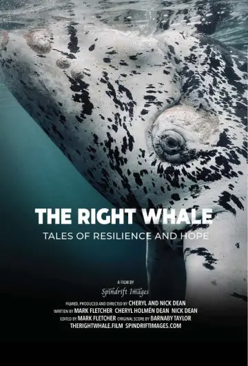 Постер к фильму "The Right Whale" #878626