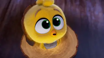 Задник к фильму "Galinha Pintadinha: O Filme" #1636290