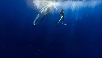 Le souffle de vie постер