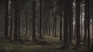 Задник к фильму "24 часа" #543910