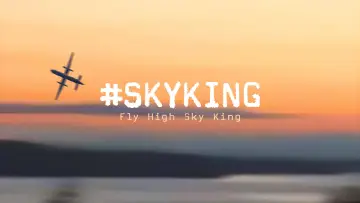 Задник к фильму "#SKYKING" #843735