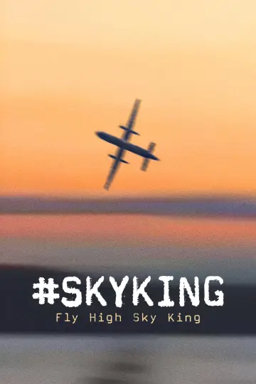 Постер к фильму "#SKYKING" #843742