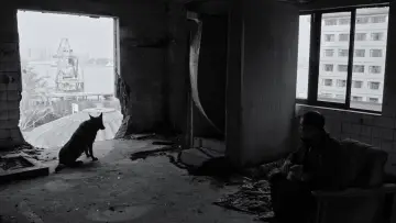 Задник к фильму "伤寒杂病论" #539000