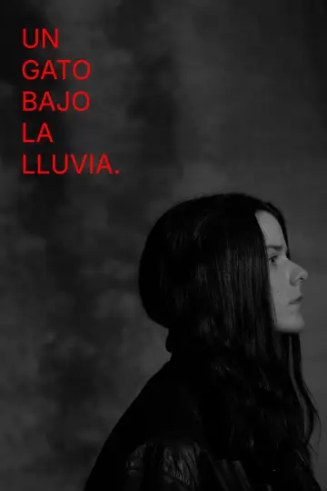 Постер к фильму "Un gato bajo la lluvia." #552337