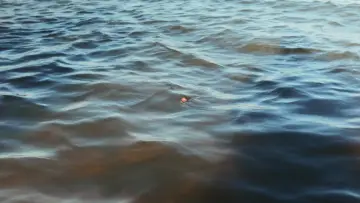 Задник к фильму "Lo que trajo el Río" #1154874