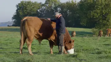 Задник к фильму "Rural" #773625