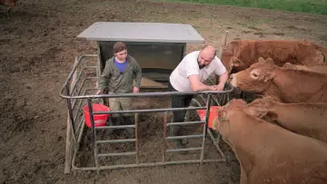 Задник к фильму "Rural" #773628