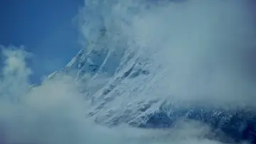 Задник к фильму "Murmuration" #544621