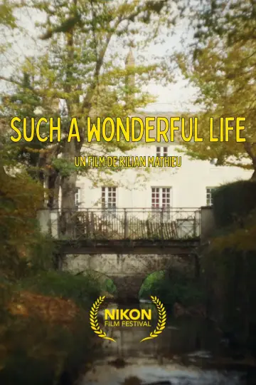 Постер к фильму "Such a WonderFul Life" #571066