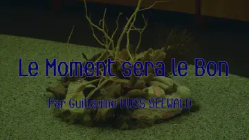 Задник к фильму "Le Moment sera le Bon" #1204405