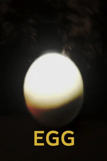 Ägg