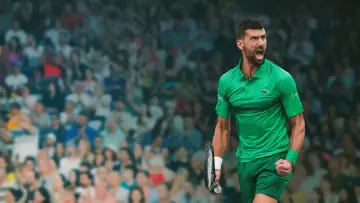 Задник к фильму "Novak Djokovic: The Wolf in Winter" #1151184