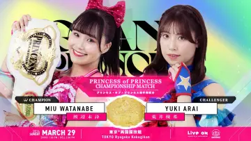 Задник к фильму "TJPW GRAND PRINCESS 
