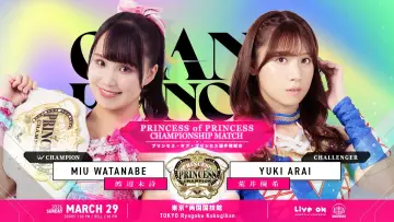 Задник к фильму "TJPW GRAND PRINCESS 