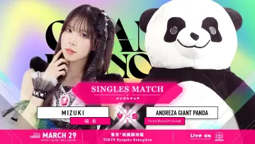 Задник к фильму "TJPW GRAND PRINCESS 