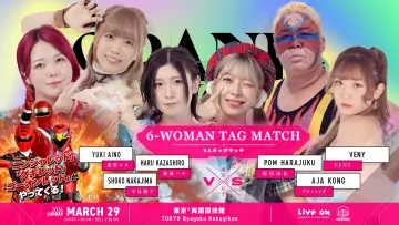 Задник к фильму "TJPW GRAND PRINCESS 
