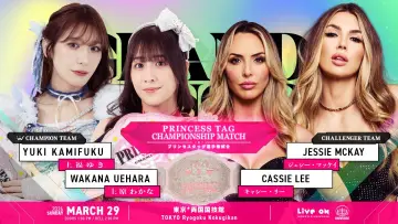 Задник к фильму "TJPW GRAND PRINCESS 