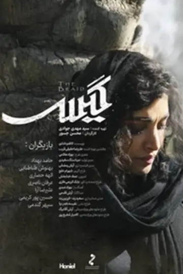 گیس постер