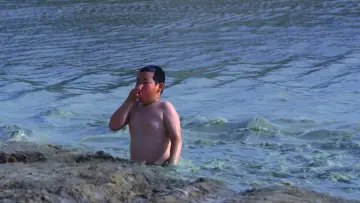 Задник к фильму "大湾区之肋" #776383