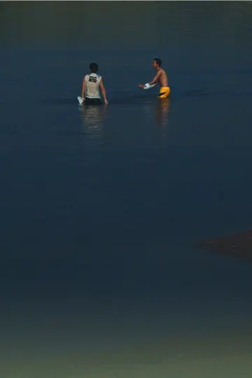 大湾区之肋
