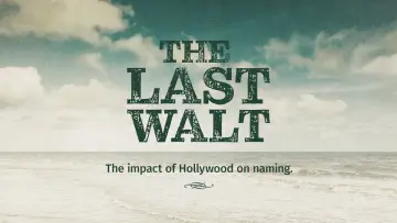 The Last Walt постер