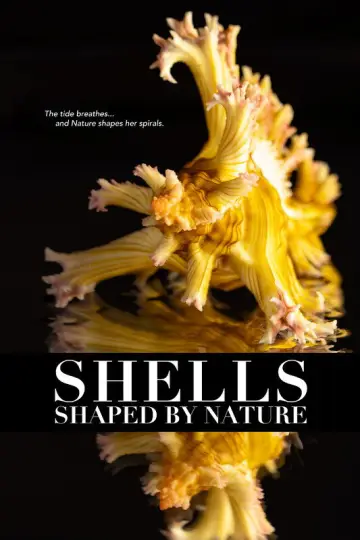 Постер к фильму "Shells: Shaped by Nature" #911852