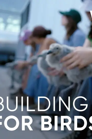 Постер к фильму "Wild Hope: Building for Birds" #803349